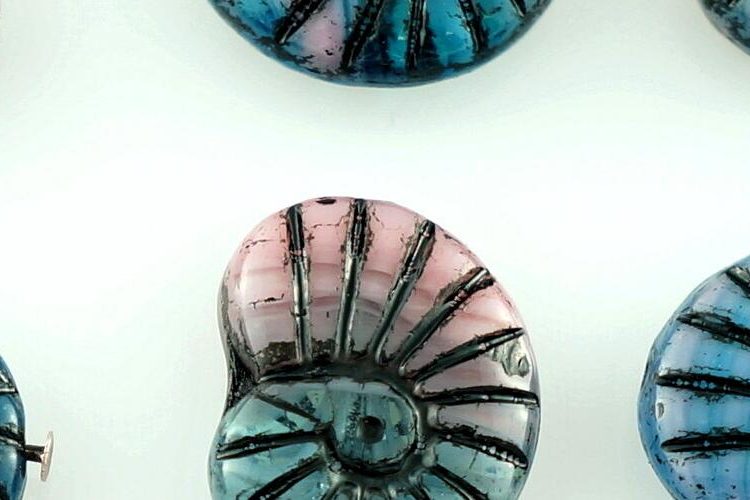 Shell Ammonite Fossil Carved Czech Beads