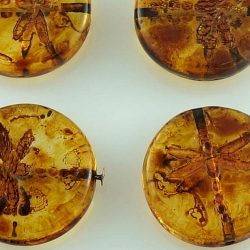 Coin Round Rustic Dragonfly Flat Czech Beads