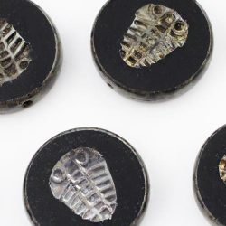 Flat Coin Trilobite Fossil Marine Window Table Cut Czech Beads