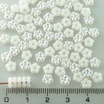 Forget-Me-Not Flower Czech Small Flat Beads - White AB - 5mm