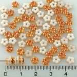 Forget-Me-Not Flower Czech Small Flat Beads - Apricot Orange White Half Luster - 5mm