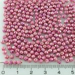 Round Faceted Fire Polished Czech Beads - Purple Marble Picasso - 3mm