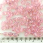 Pinch Czech Beads - Rose Pink Opal Black Striped - 7mm