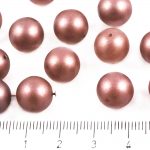 Round Czech Beads - Chocolate Brown Pearl Imitation - 11mm