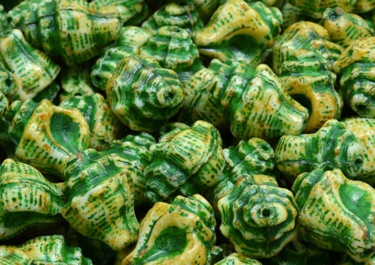 Murex Shell Sea Czech Beads