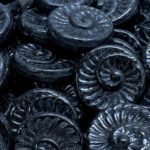 Nautilus Fossil Snails Seashell Ammonite Flat Round Spiral Coin Czech Beads - Metallic Jet Black Silver Hematite Luster - 18mm