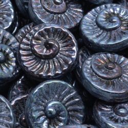Nautilus Fossil Snails Seashell Ammonite Flat Round Spiral Coin Czech Beads