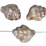 Murex Shell Sea Czech Beads - Pearl Shine Light Bronze Brown White - 15mm x 12mm