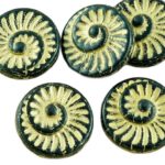 Nautilus Fossil Snails Seashell Ammonite Flat Round Spiral Coin Czech Beads - Opaque Jet Black Matte Gold Patina Wash - 18mm