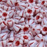 Bell Flower Caps Czech Beads - Opaque White Dark Red Patina - 6mm x 8mm