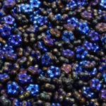 Forget-Me-Not Flower Czech Small Flat Beads - Black Blue Azure - 5mm