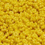 Forget-Me-Not Flower Czech Small Flat Beads - Opaque Citrine Yellow Lemon Luster - 5mm