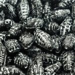 Miter Shell Czech Beads - Black Silver Patina - 16mm x 8mm